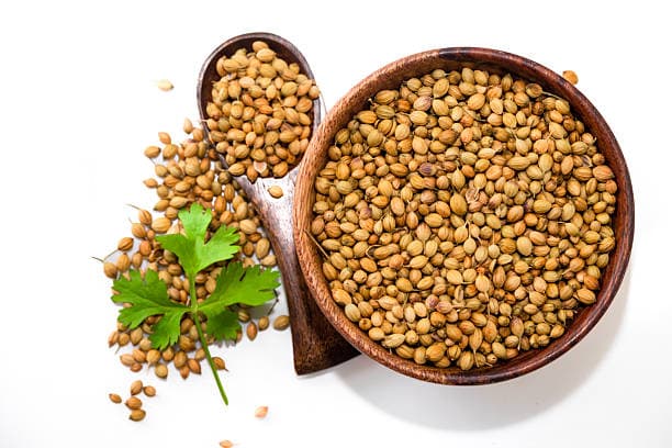 تصویر 2 از خرید و قیمت تخم گشنیز تازه + فروش عمده